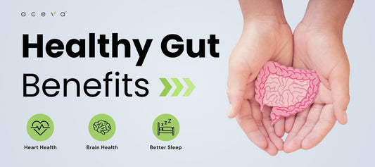 Mastering Digestive Wellness.