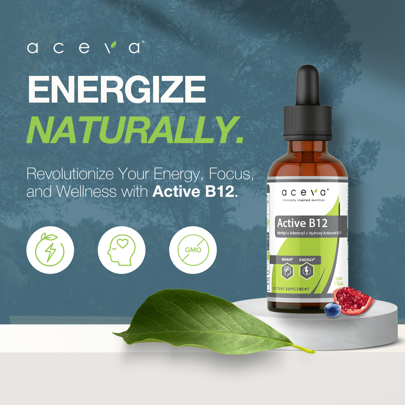 Vegan Active-B12