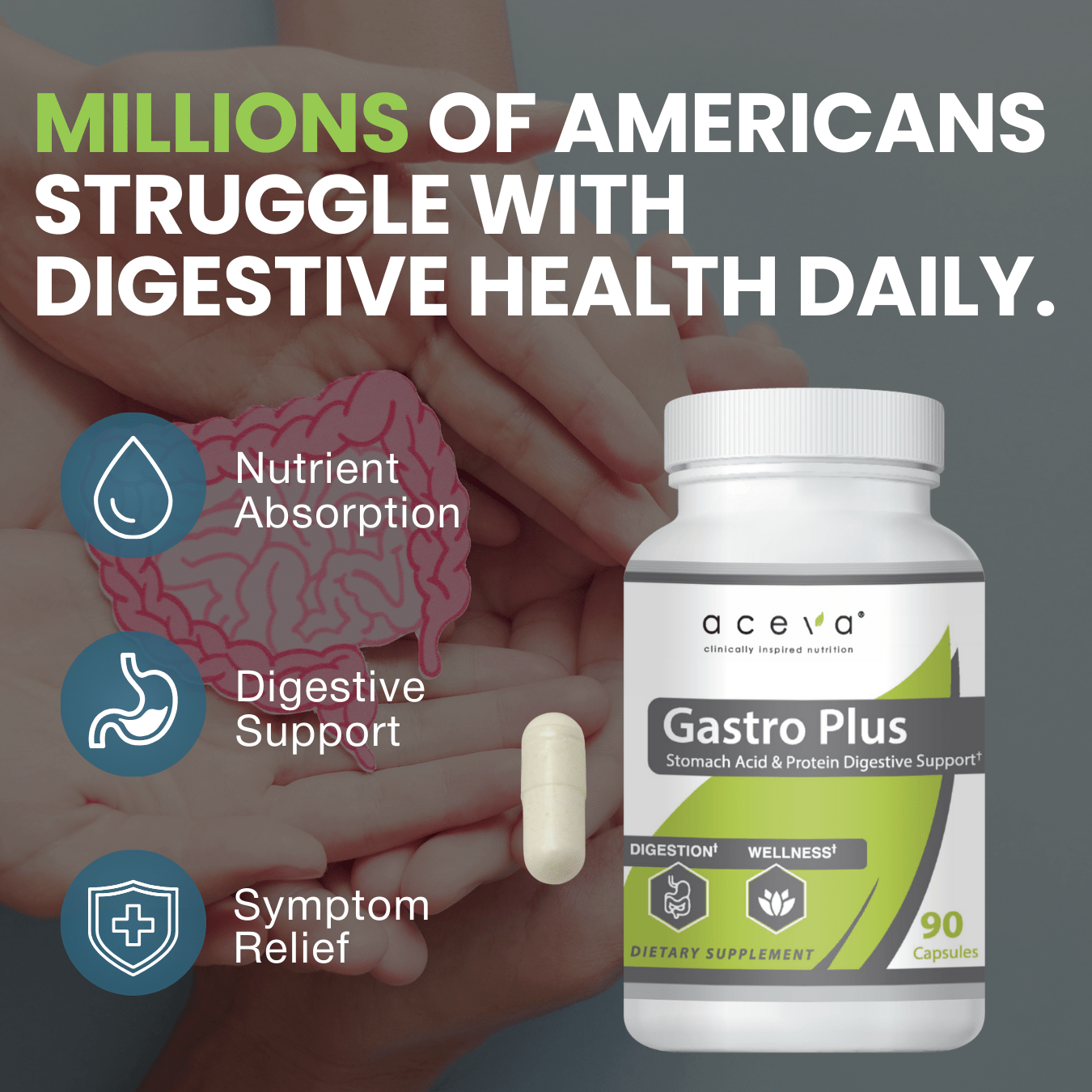 Gastro Plus