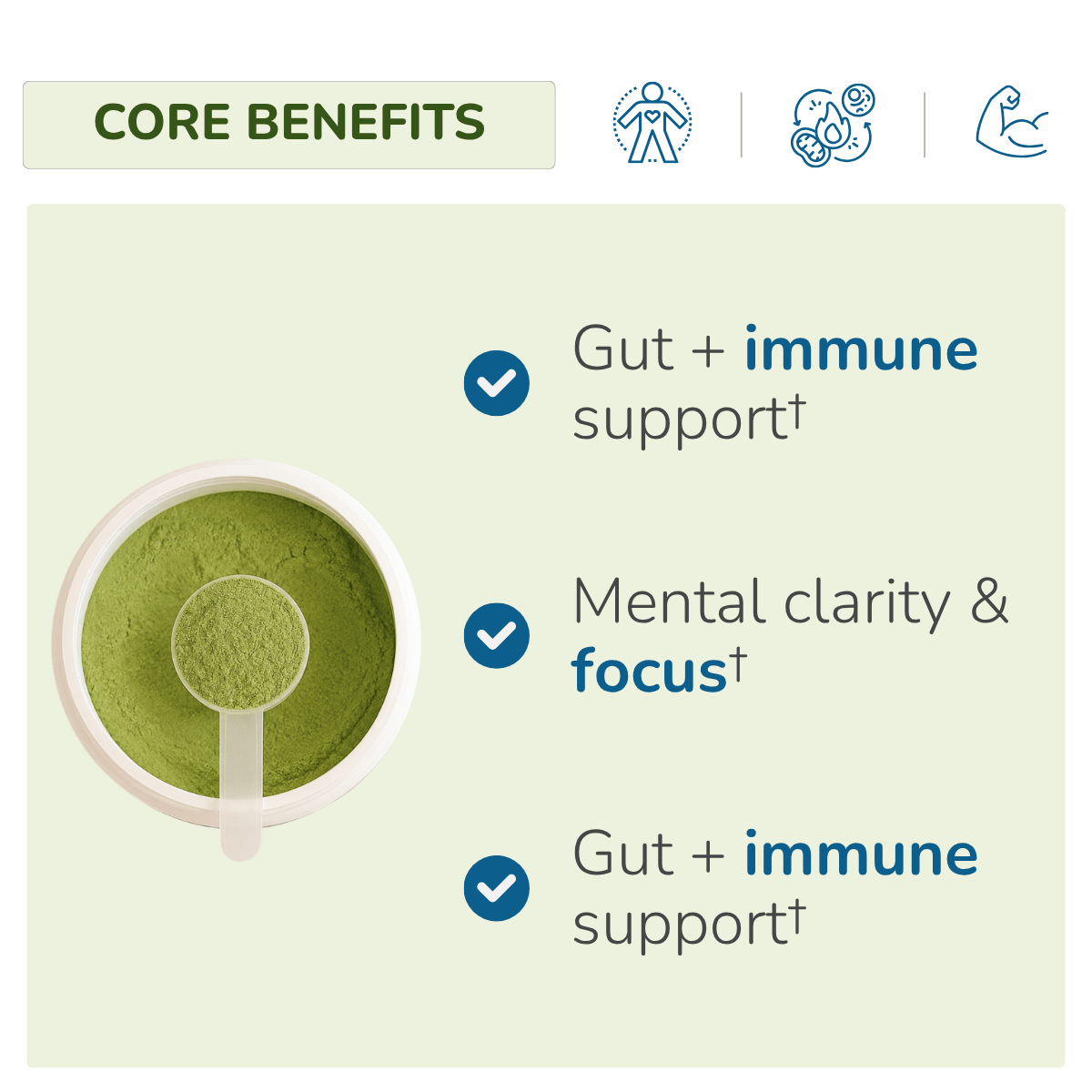 Absolute Greens | Energy
