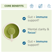 Absolute Greens | Energy