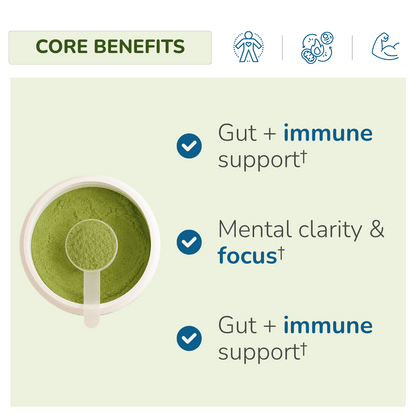 Absolute Greens | Energy