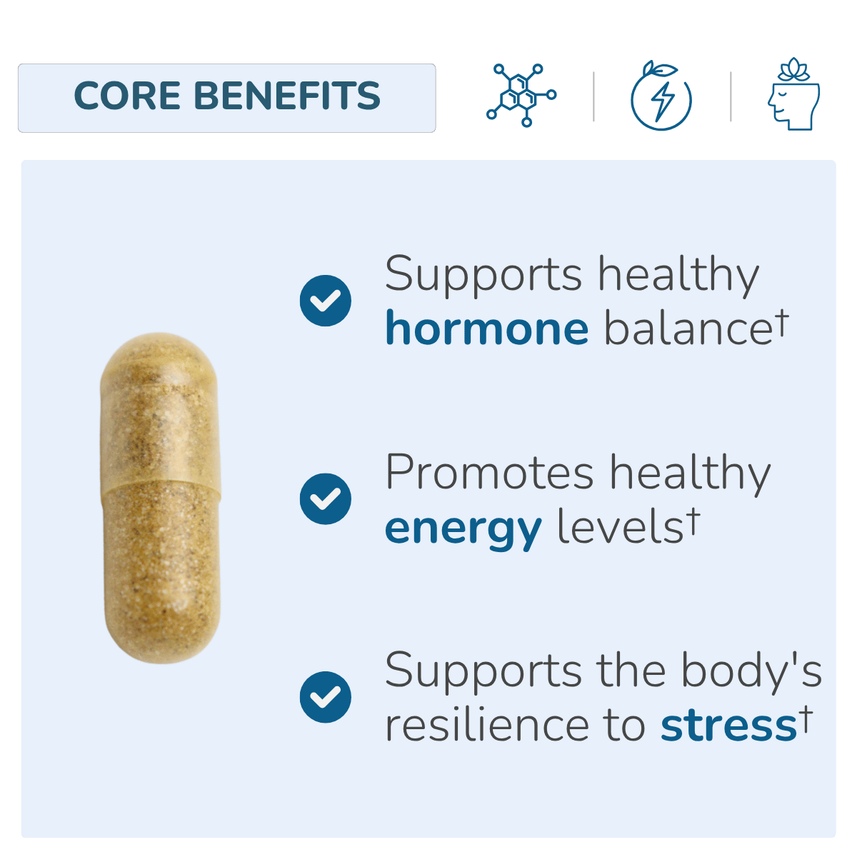 Stress Relief | Stress