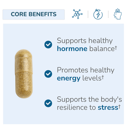 Stress Relief | Stress